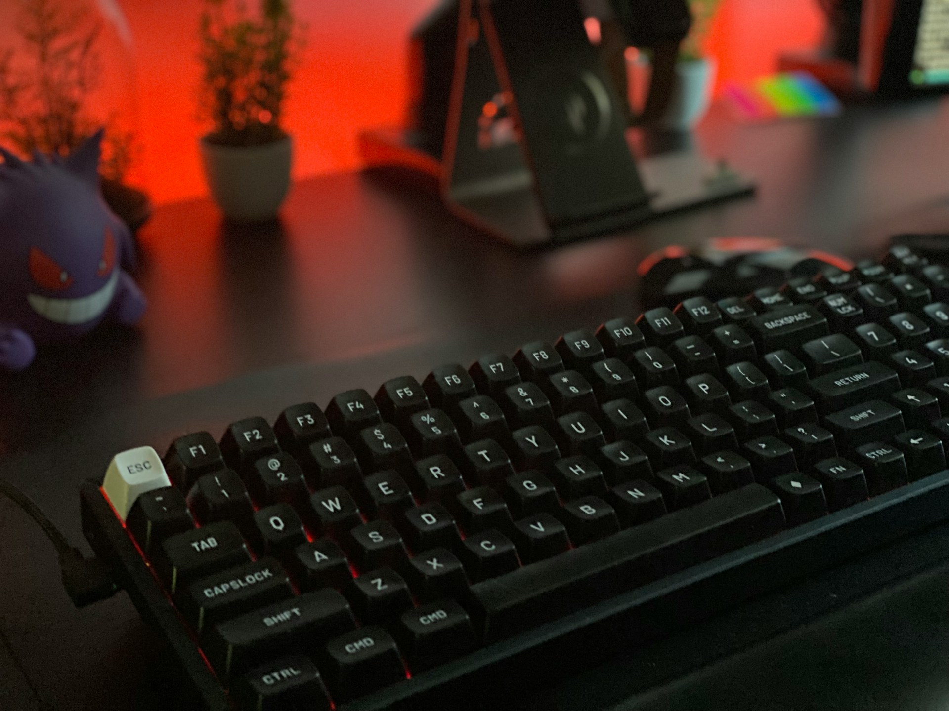 teclados